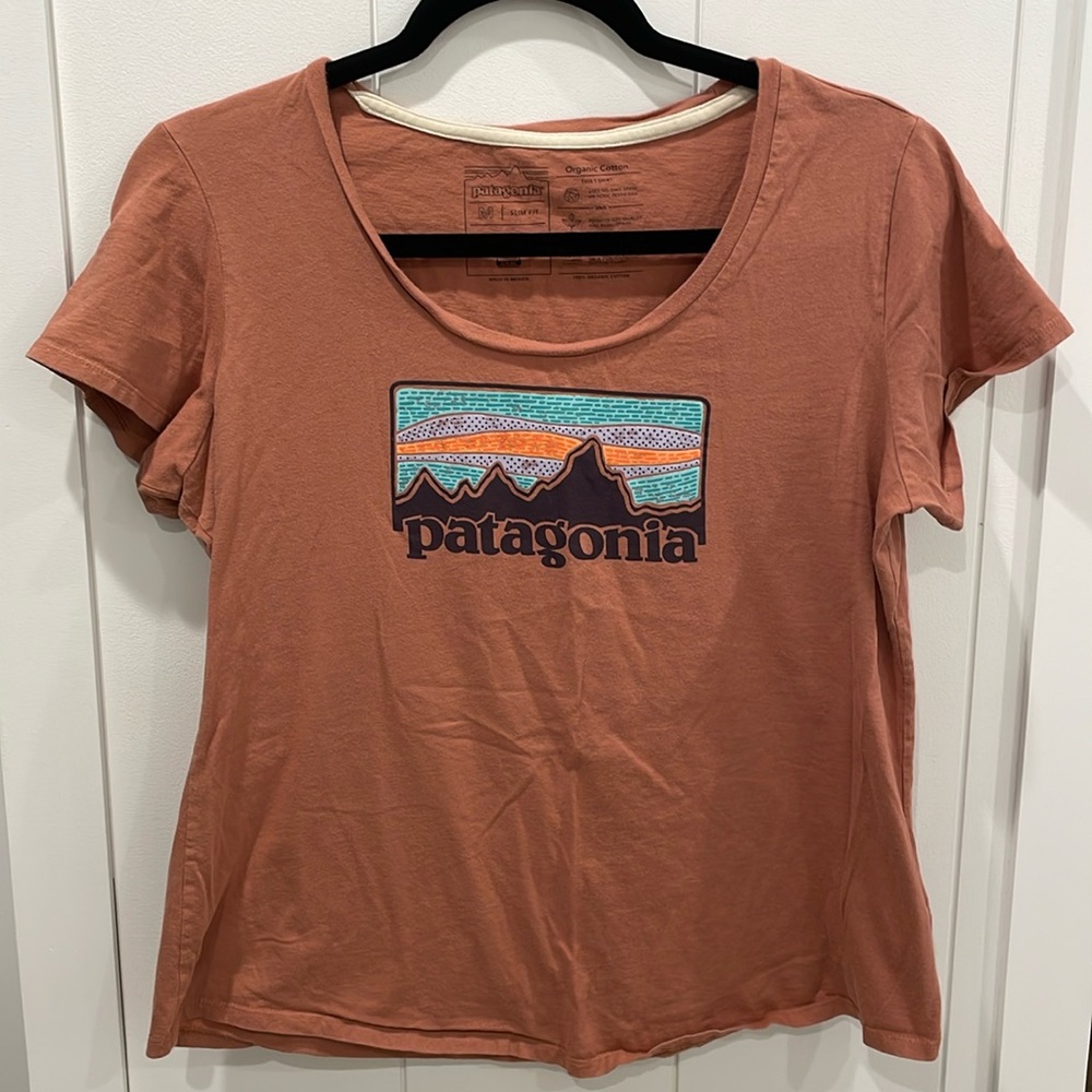 Patagonia Slim Fit T-Shirt Size Medium Scoop Neck